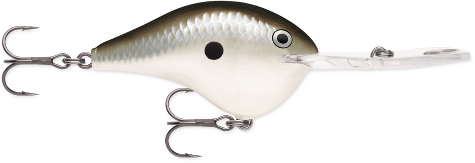 Rapala DT-20 Dives-To Crankbait