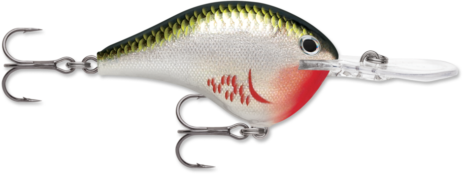 Rapala DT Series Crankbait