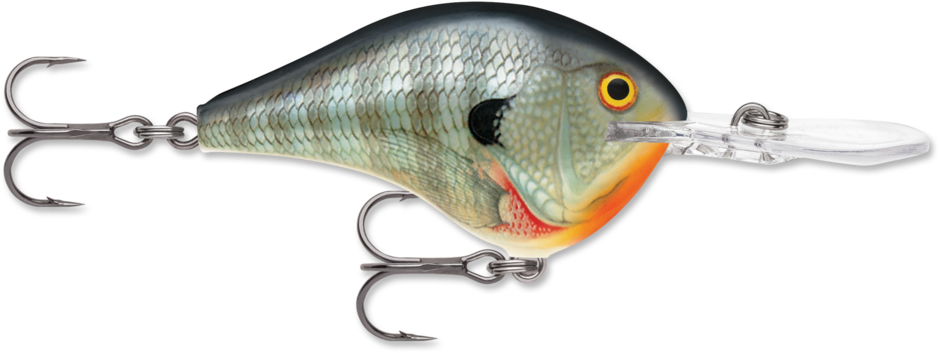 Rapala DT Series Crankbait