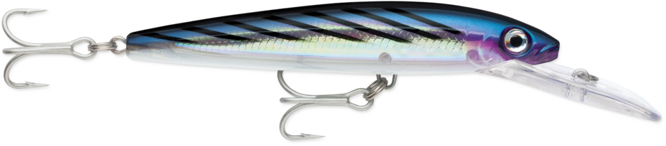 رابللا هاسكي ماجنوم