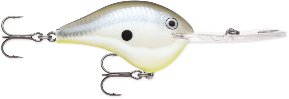 Rapala DT-20 Dives-To Crankbait