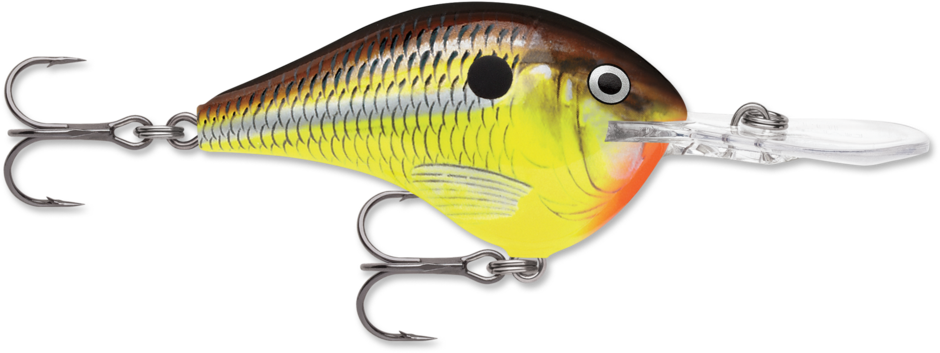 Rapala DT Series Crankbait