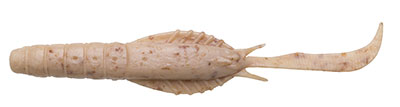 ECOGEAR JUKUSEI AQUA SWIM SHRIMP