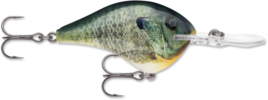 Rapala DT Series Crankbait