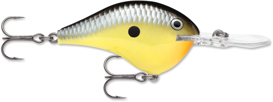 Rapala DT Series Crankbait