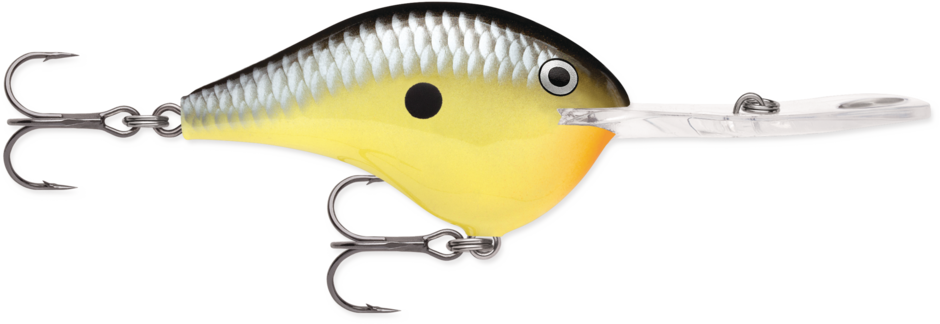Rapala DT-20 Dives-To Crankbait