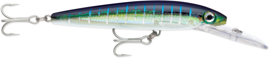 رابللا هاسكي ماجنوم